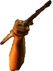 Antebrazo